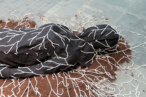 burial mushroom suit