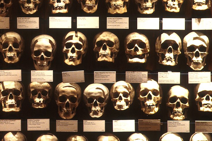 death salon