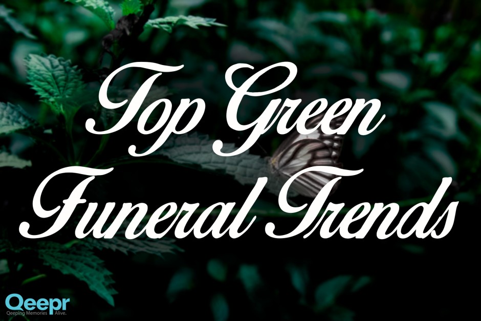 Eco Friendly Modern Burial Options Sustainable Remembrance - qpbfjlz