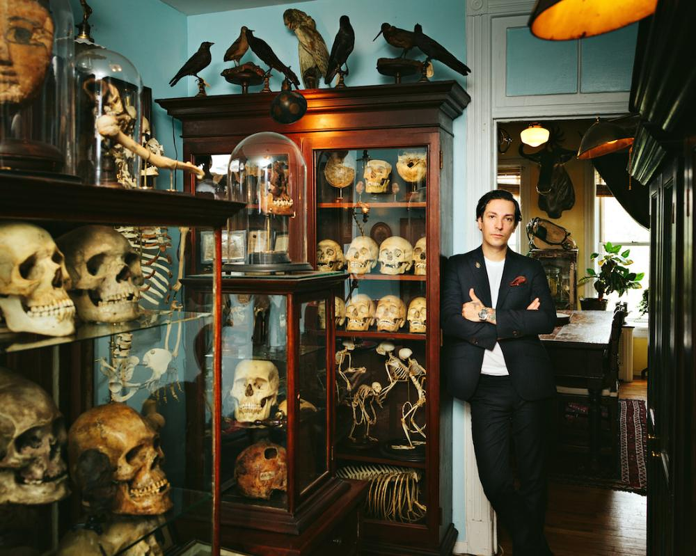 Make Your Own Cabinet of Curiosities