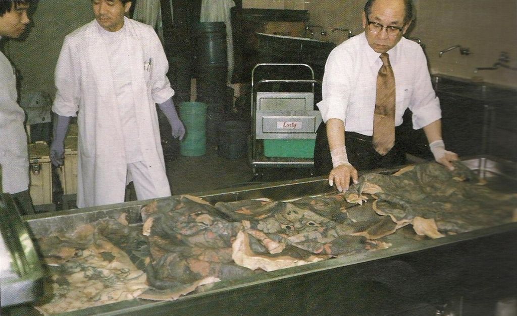 Make Your Own Cabinet of Curiosities