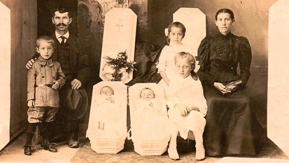 Cabinet of Curiosities
