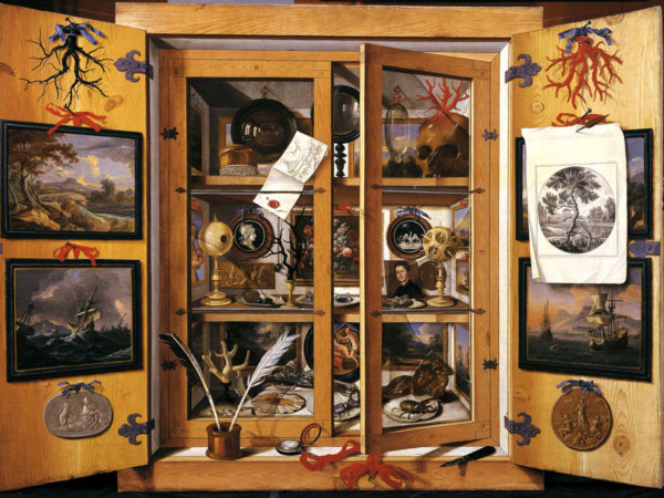 Morbid Cabinet of Curiosities