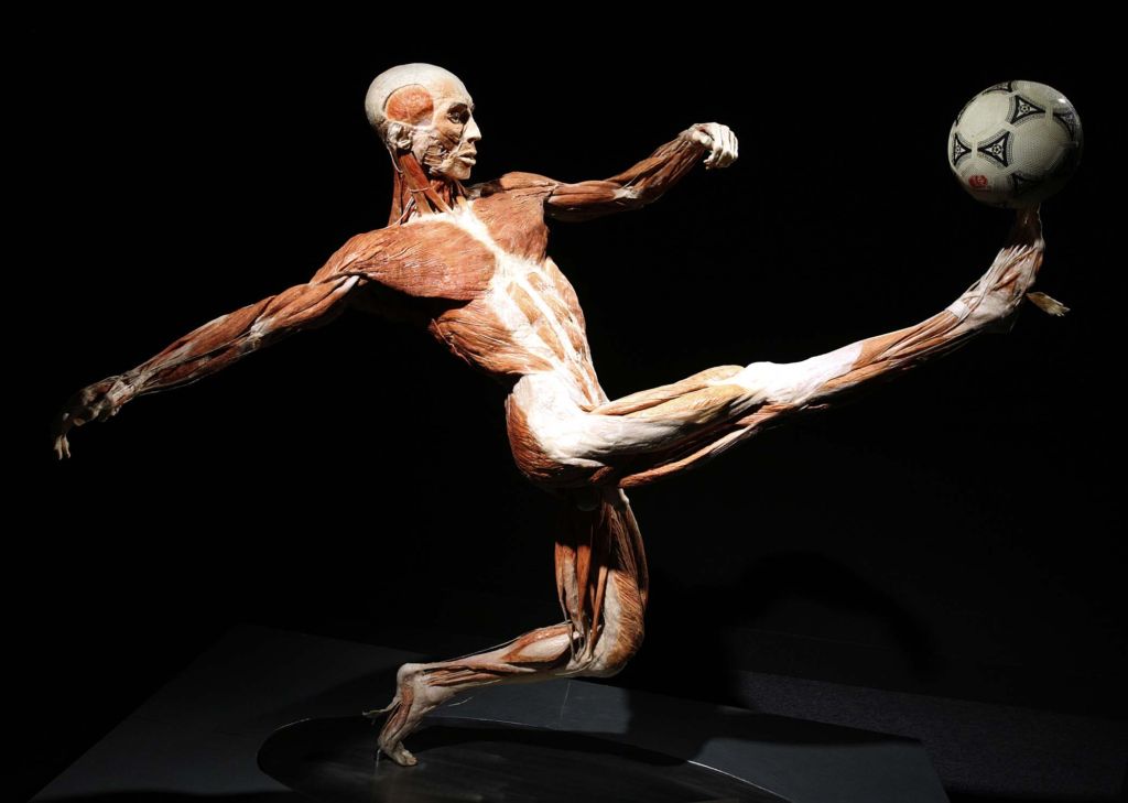 Donating My Body to Science in Canada