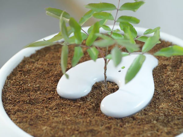 Environmentally Friendly Burial