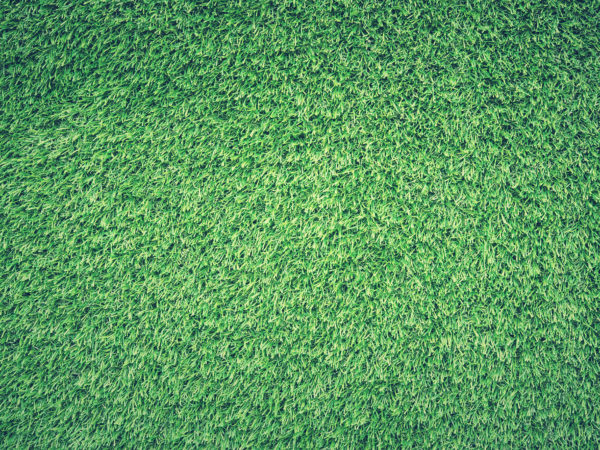 Green Burial Myths