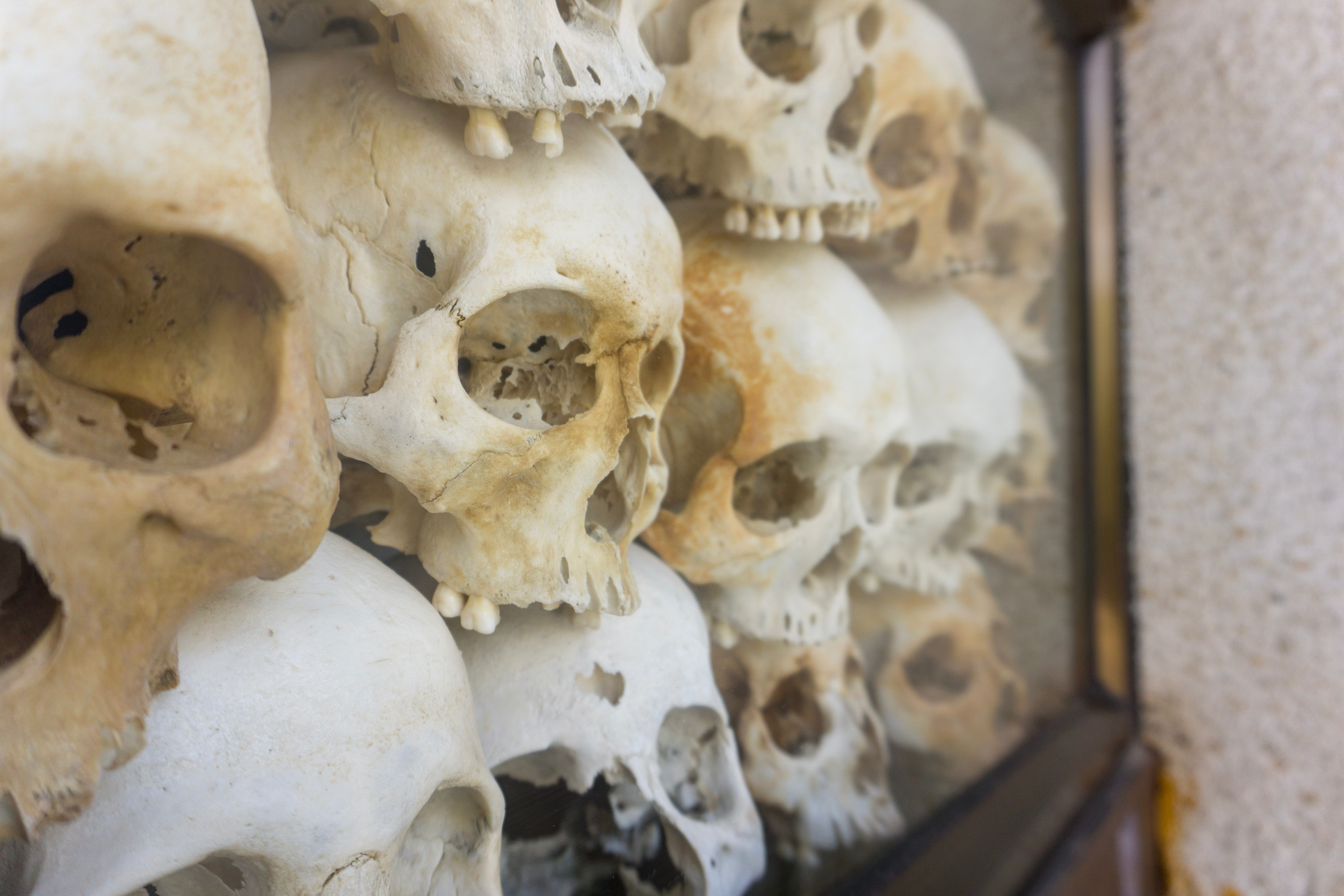 dark tourism dark tourist