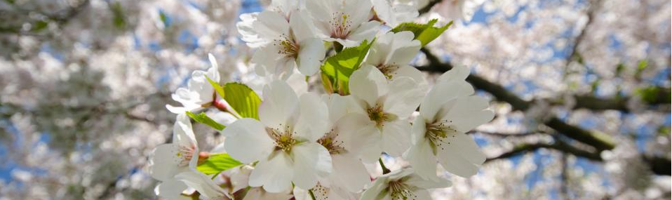 Grief Support Forums