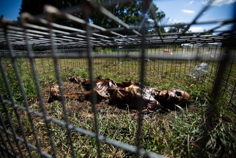 Donating Your Body in the United States TalkDeath