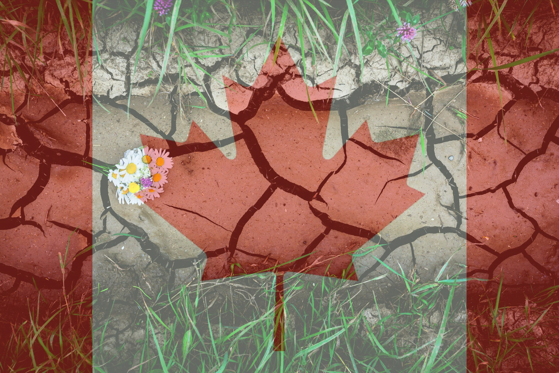 green burial in canada