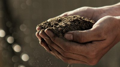 A pair of male hands holding compost that has turned into dirt