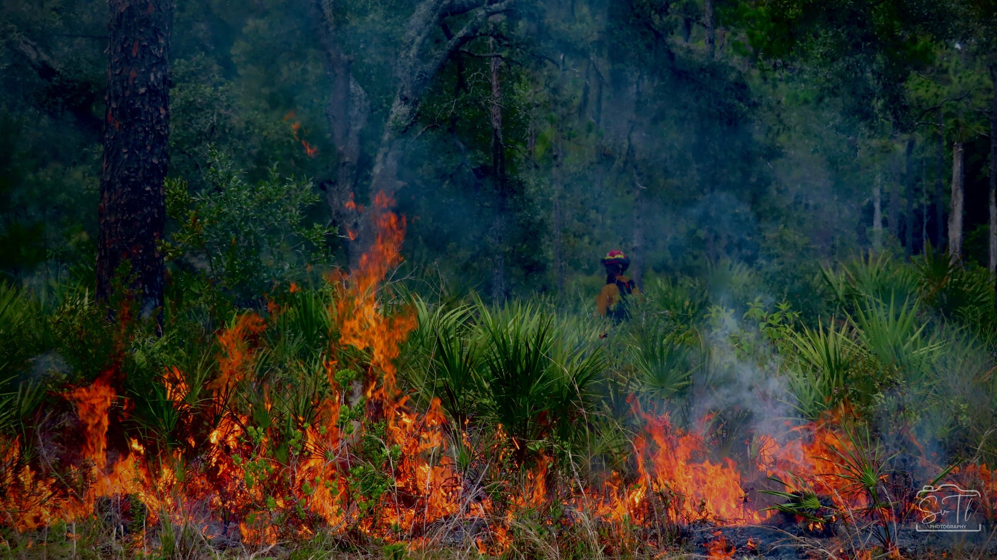 heartwood conservation cemetery