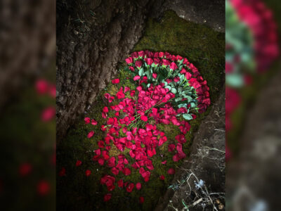 grief doula meg wade