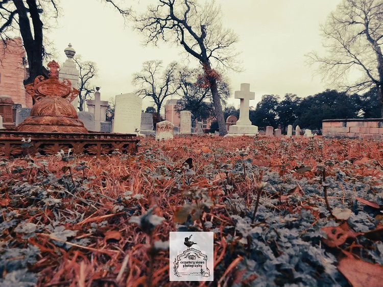 459058578 1097000568473459 1596273959221791543 n