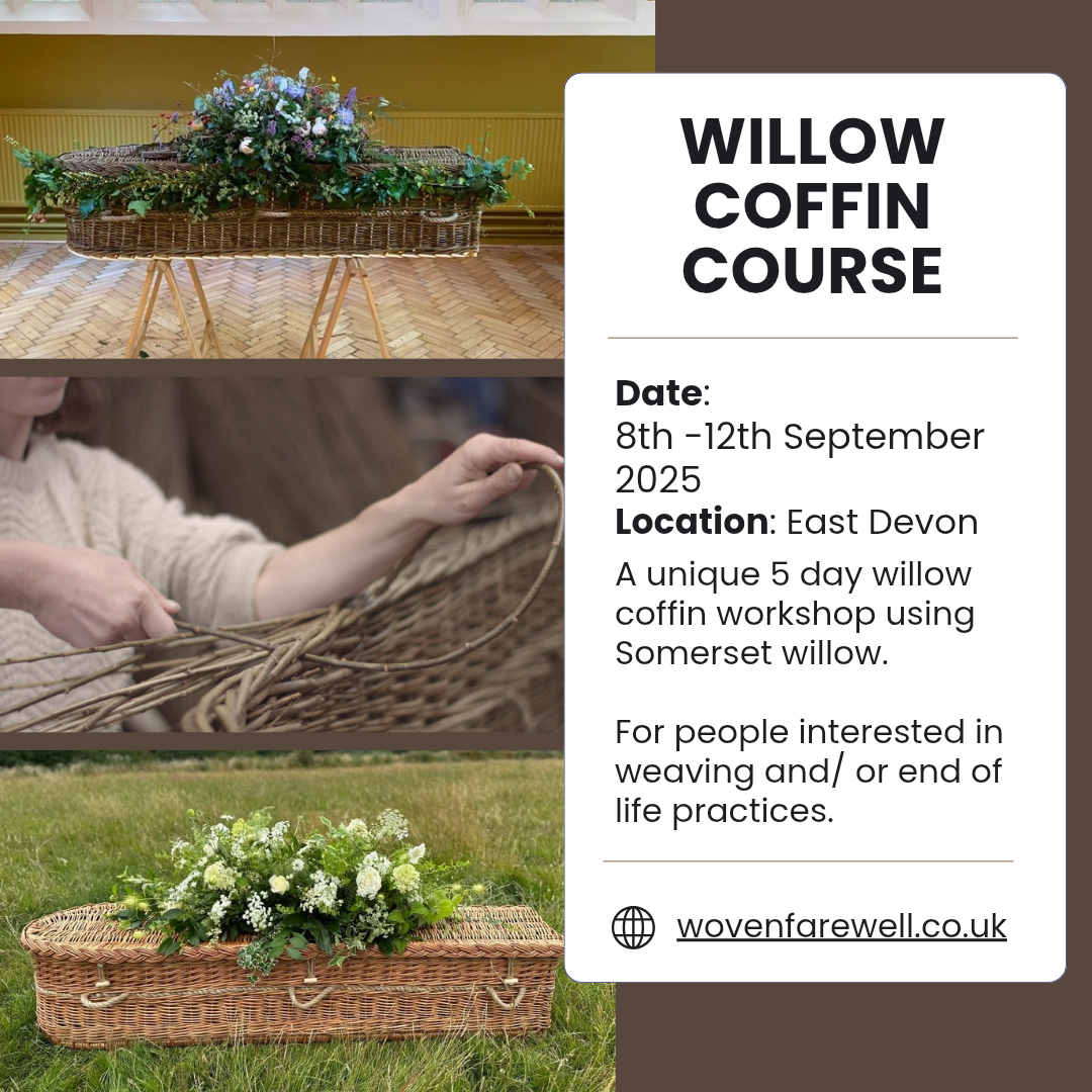 inbound7599208659854267617