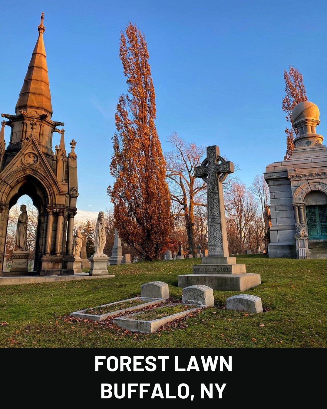 Forest Lawn