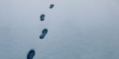 Death season dying ritual