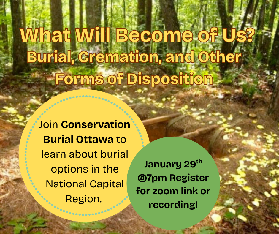 What’s Our Position on Disposition (1)