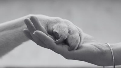 Meaningful Ways to Commemorate Your Pet